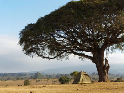 Camping Safari Tanzania
